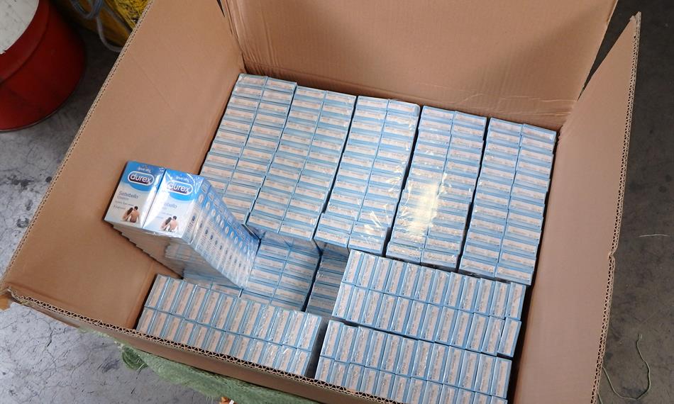 2017-11-13-137foto 1.JPG